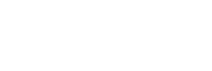 Main partner logo