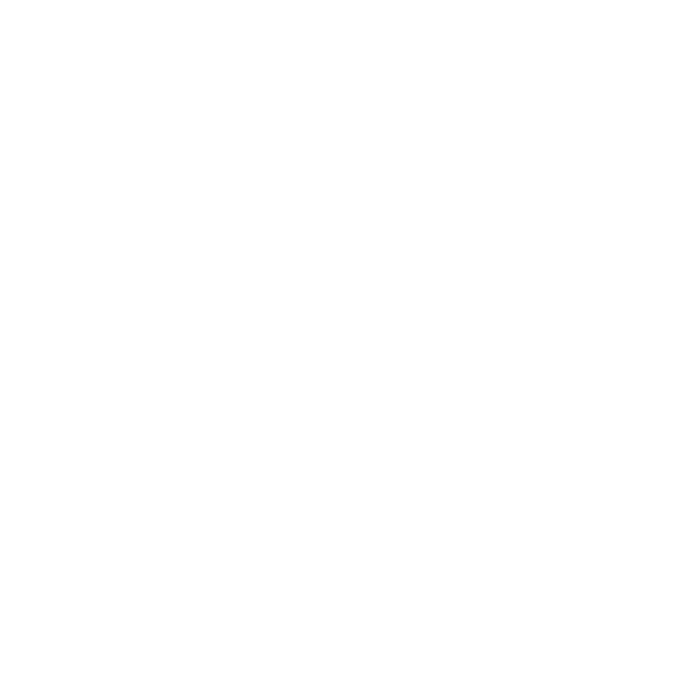 Main partner logo