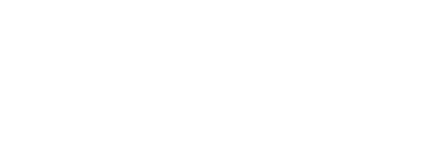 Main partner logo